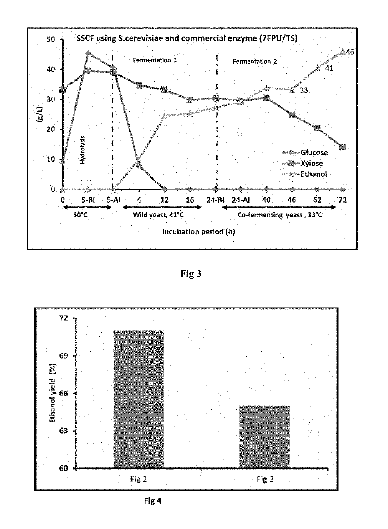 Method for second generation ethanol production from lignocellulosic biomass