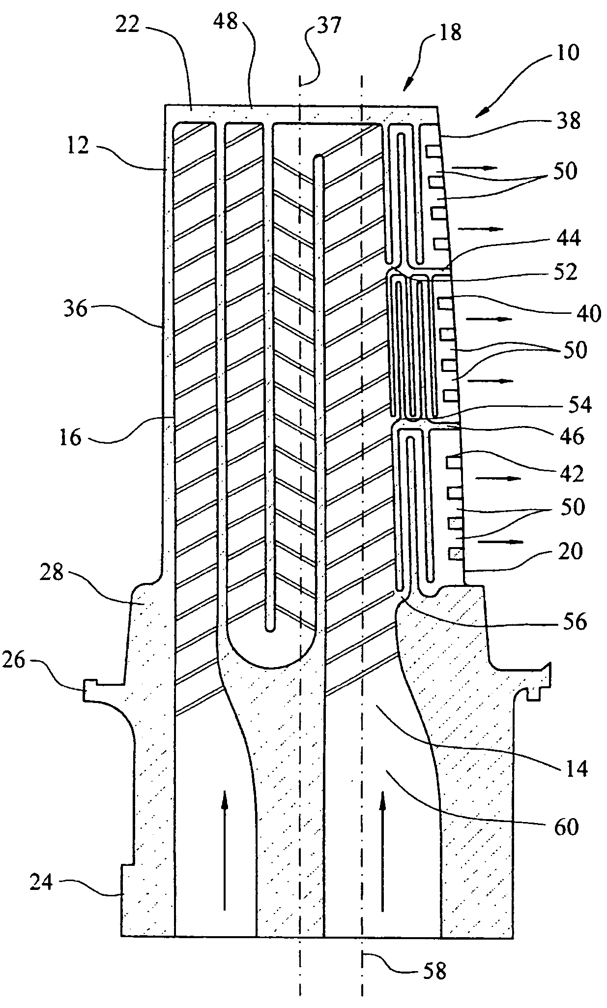 Turbine blade cooling system having multiple serpentine trailing edge cooling channels