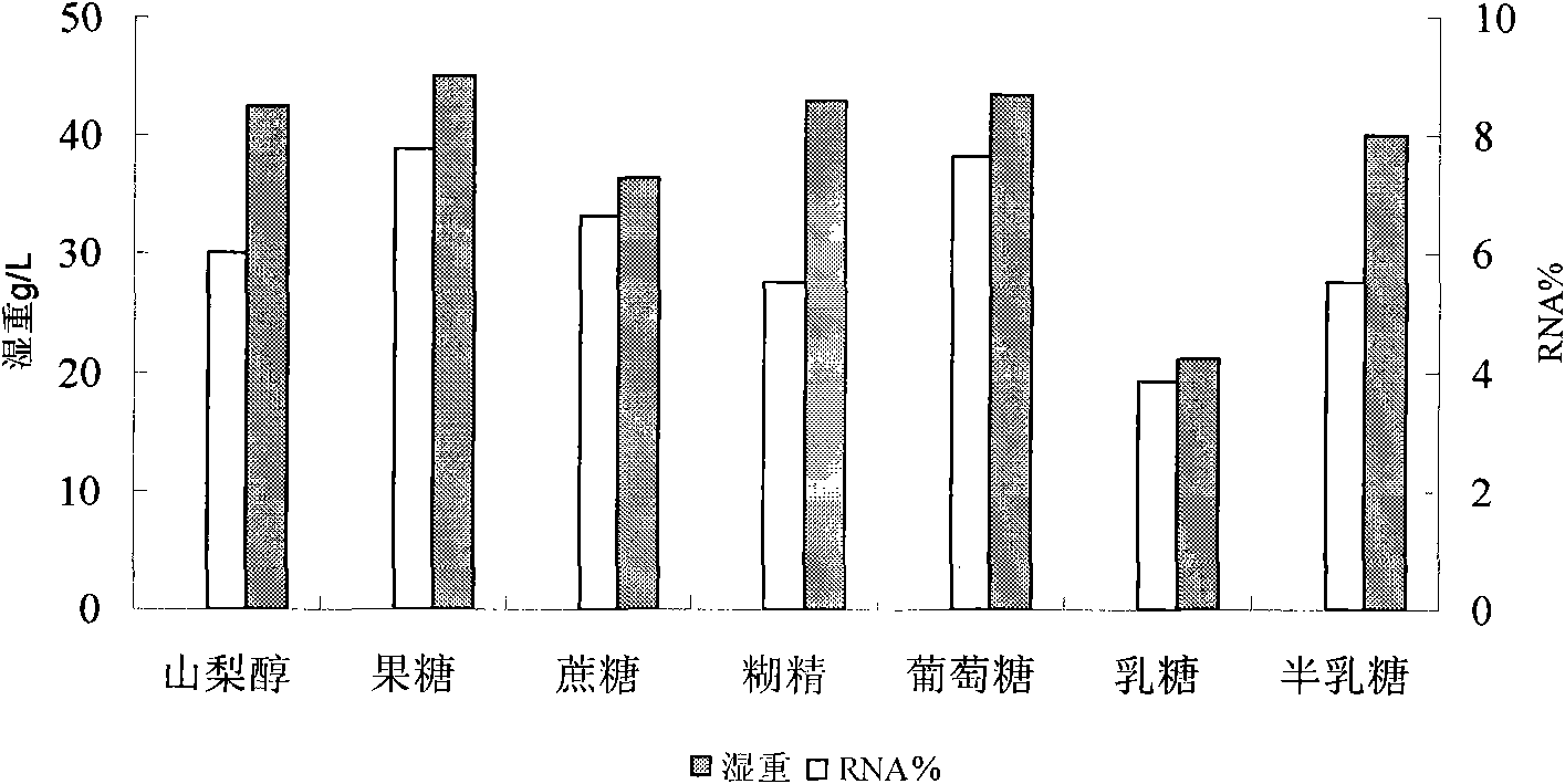 Candidatropicalis for producing ribonucleic acid with high yield and application thereof