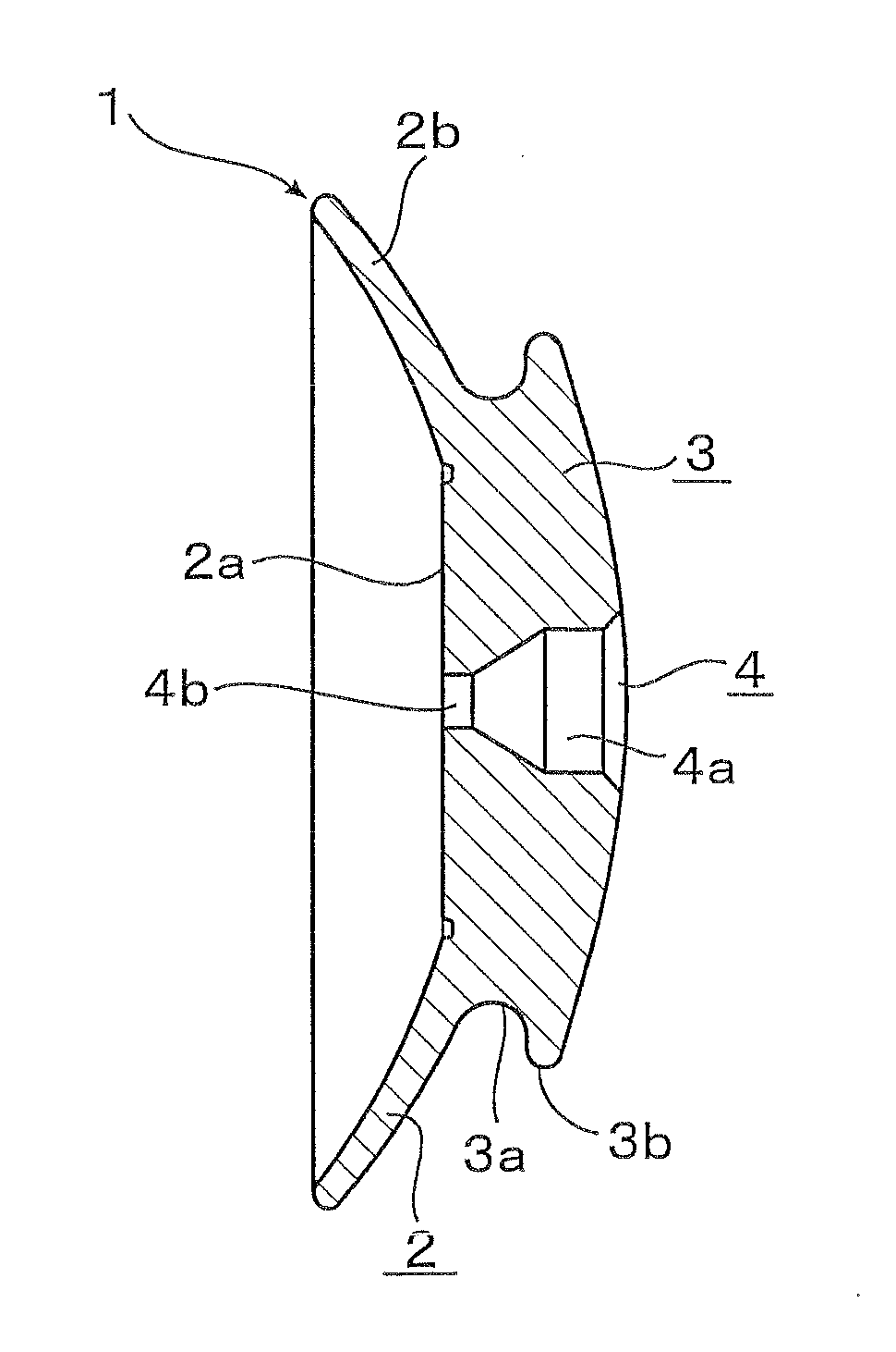 Vision corrective jig and cooling fluid injection tool for the jig