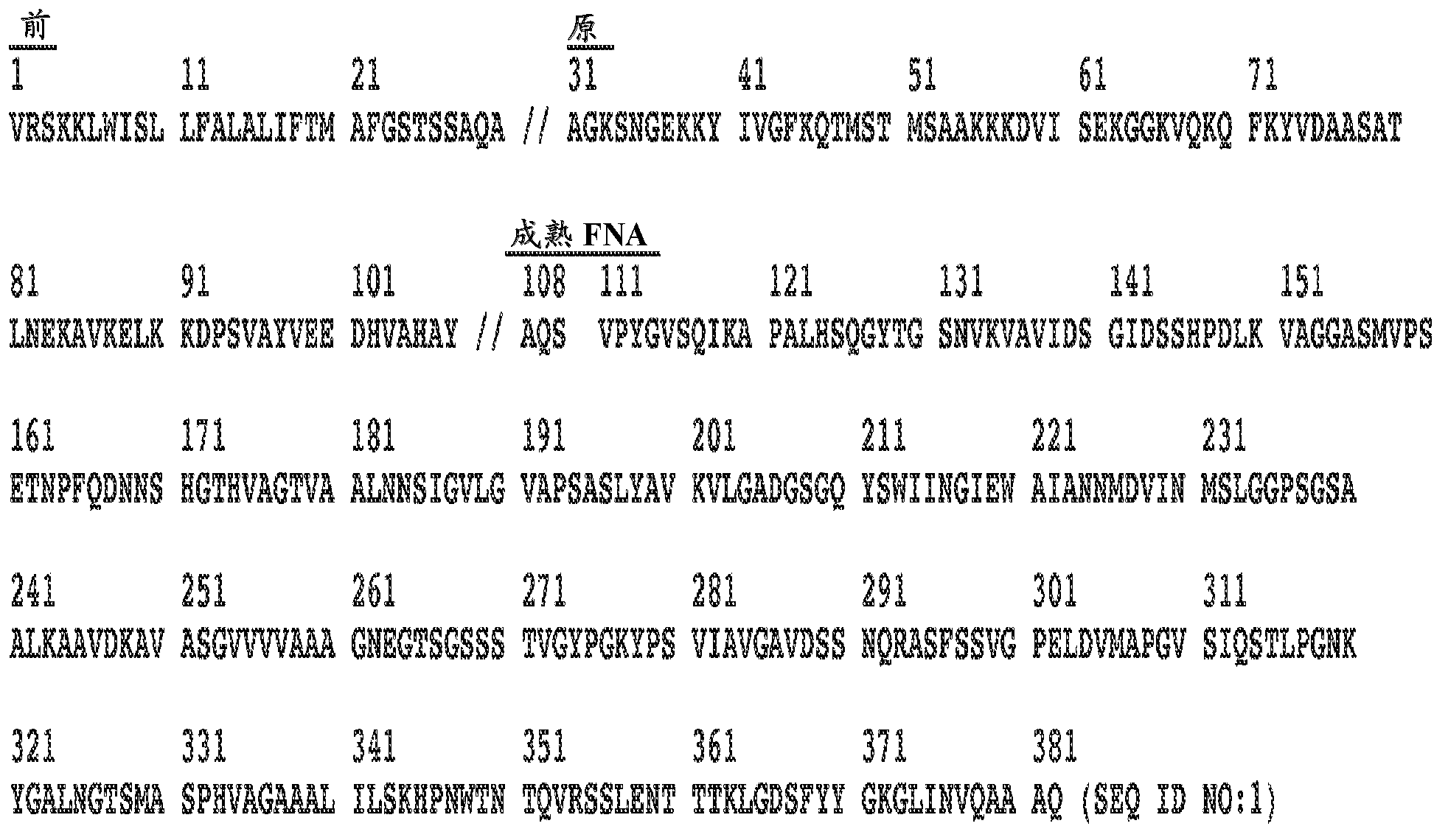 Proteases with modified pre-pro regions