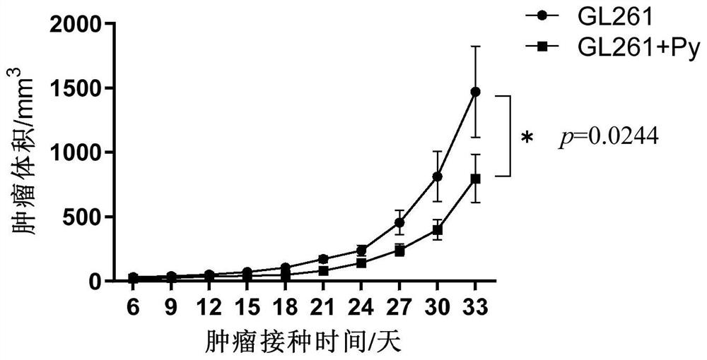 Medicine for preventing and/or treating brain tumor and application of medicine