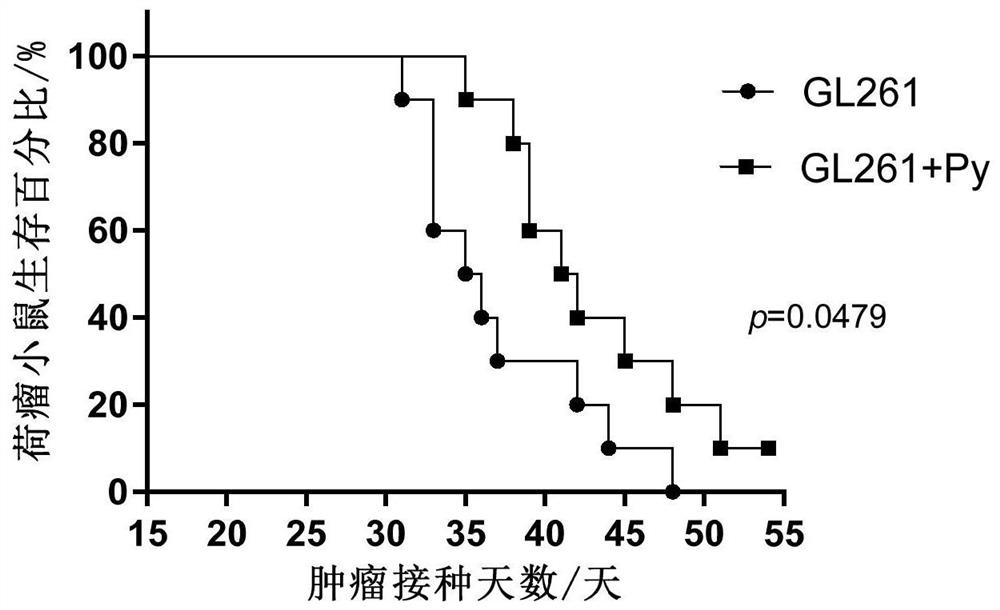 Medicine for preventing and/or treating brain tumor and application of medicine