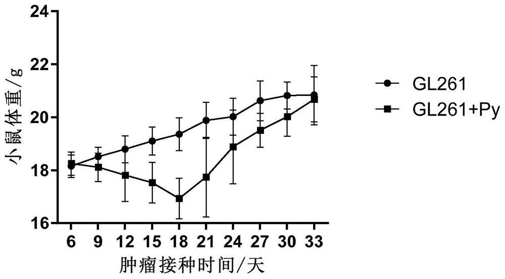 Medicine for preventing and/or treating brain tumor and application of medicine