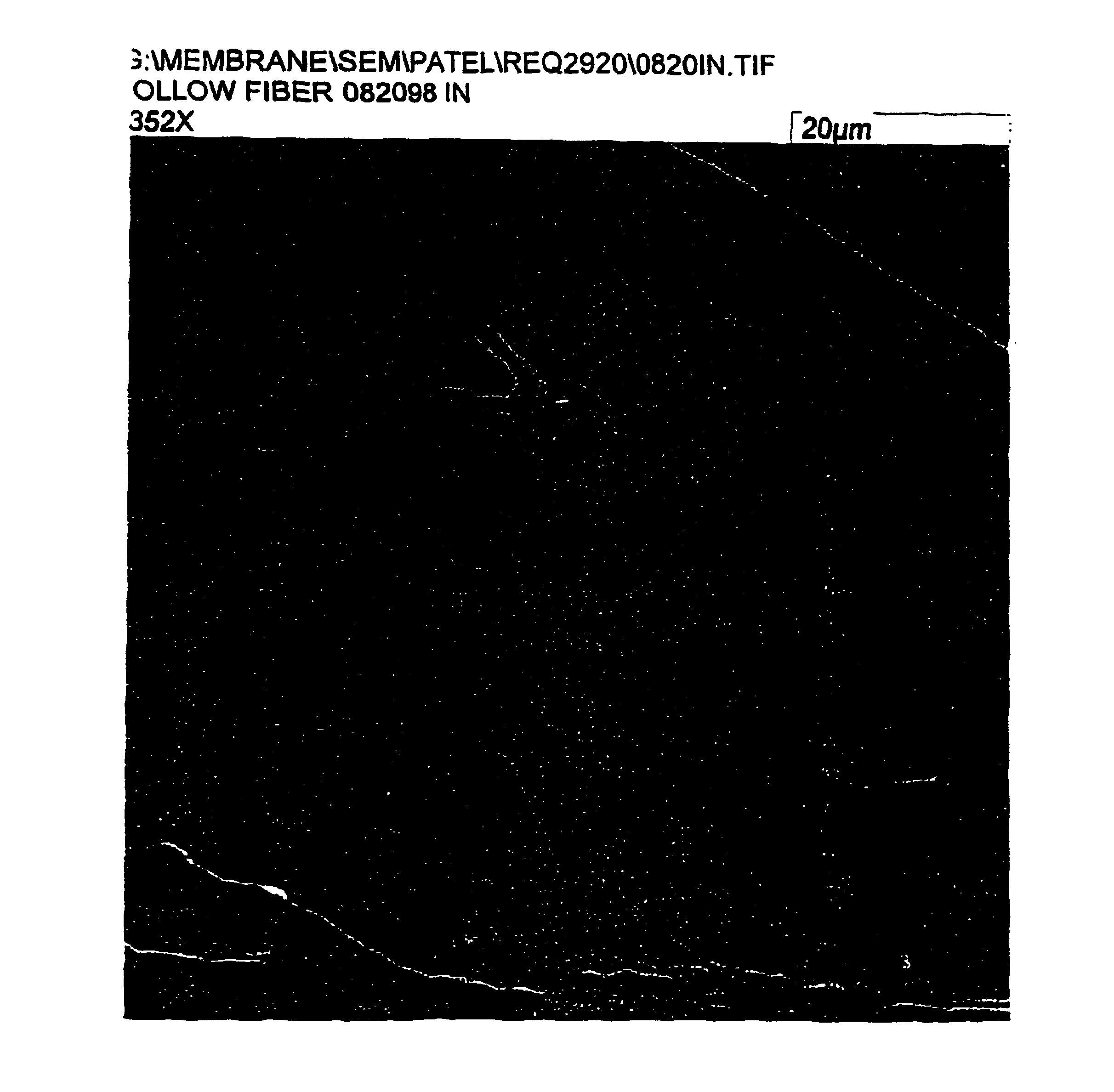 Skinned hollow fiber membrane and method of manufacture