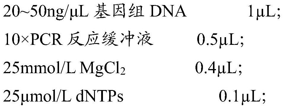 A kind of SNP molecular marker related to oestrous traits of sheep, its detection kit and application