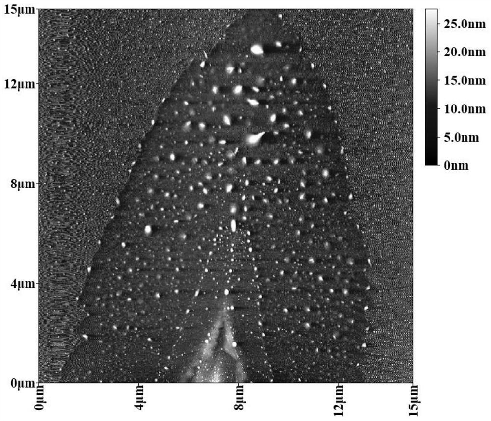 A petal-shaped molybdenum disulfide two-dimensional crystal material and its preparation method and application