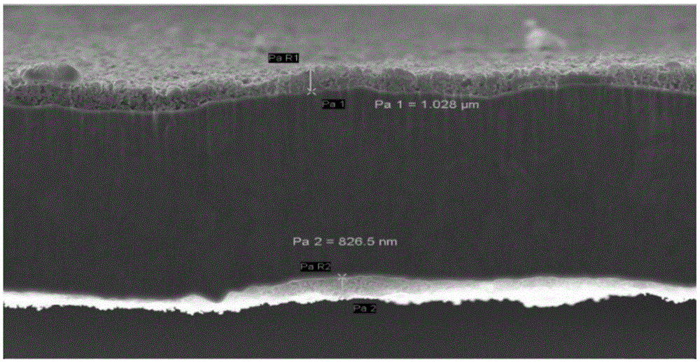 Current collector, preparation method of current collector and lithium ion battery comprising current collector