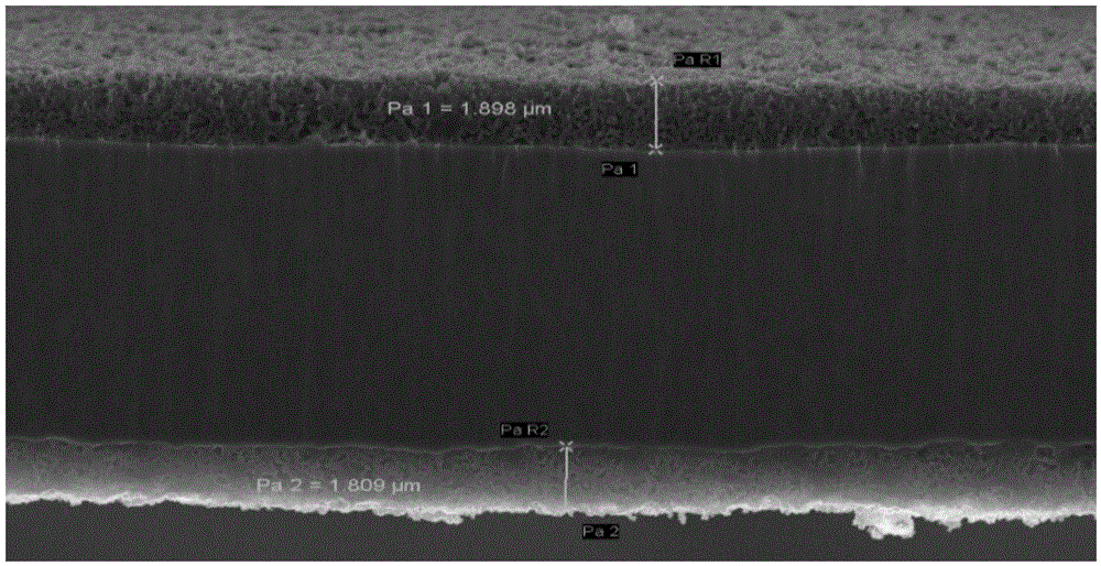 Current collector, preparation method of current collector and lithium ion battery comprising current collector