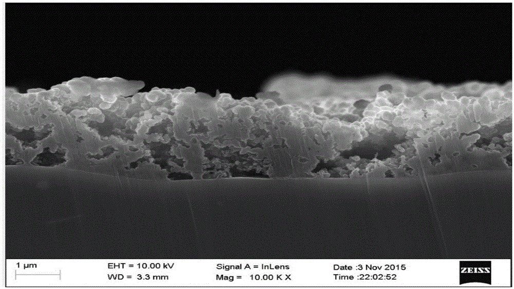 Current collector, preparation method of current collector and lithium ion battery comprising current collector