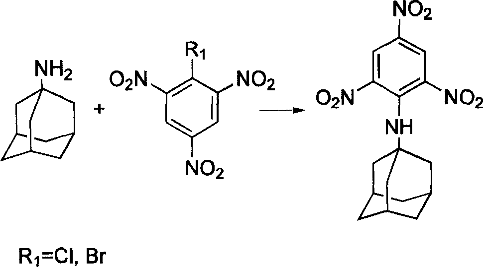 Compound containing multinitrobenzene amantadine and its synthesis method