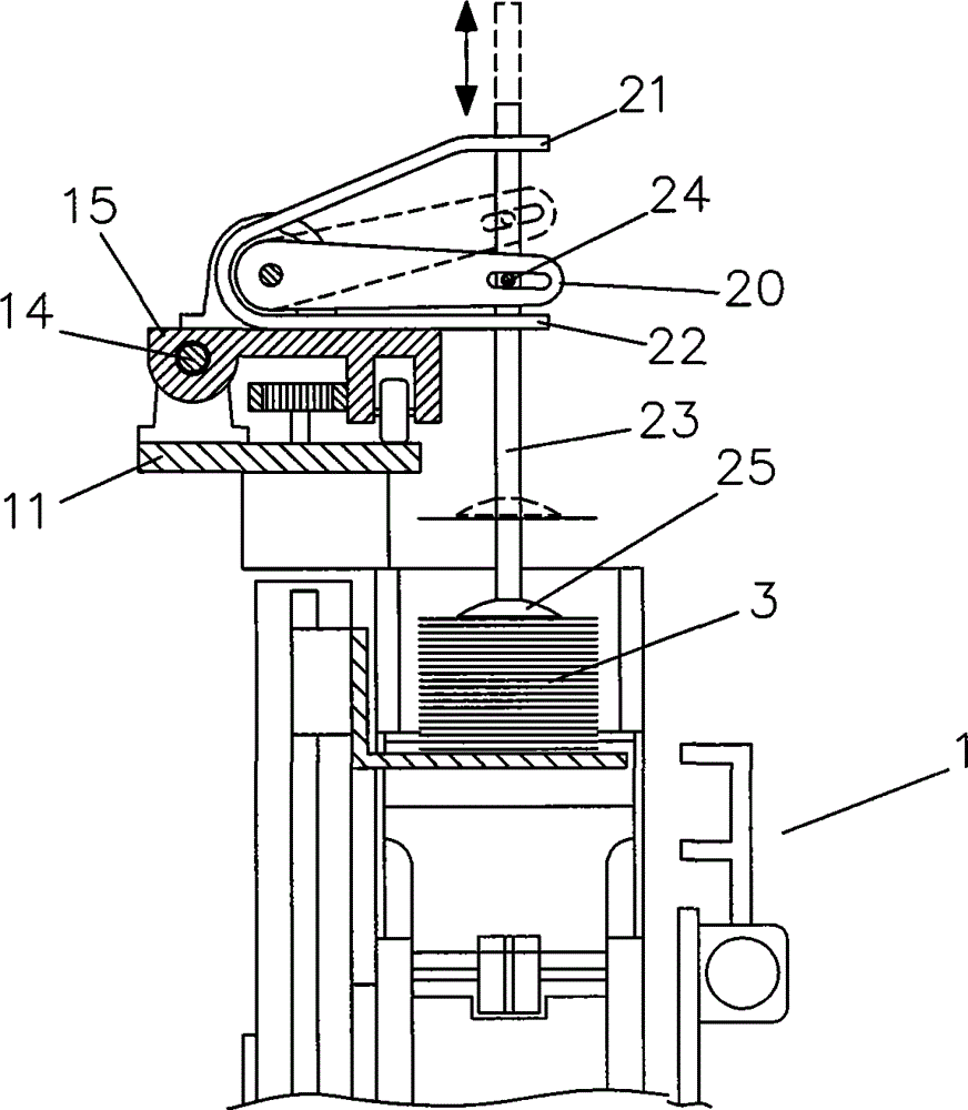 Device for dealing and displaying playing cards