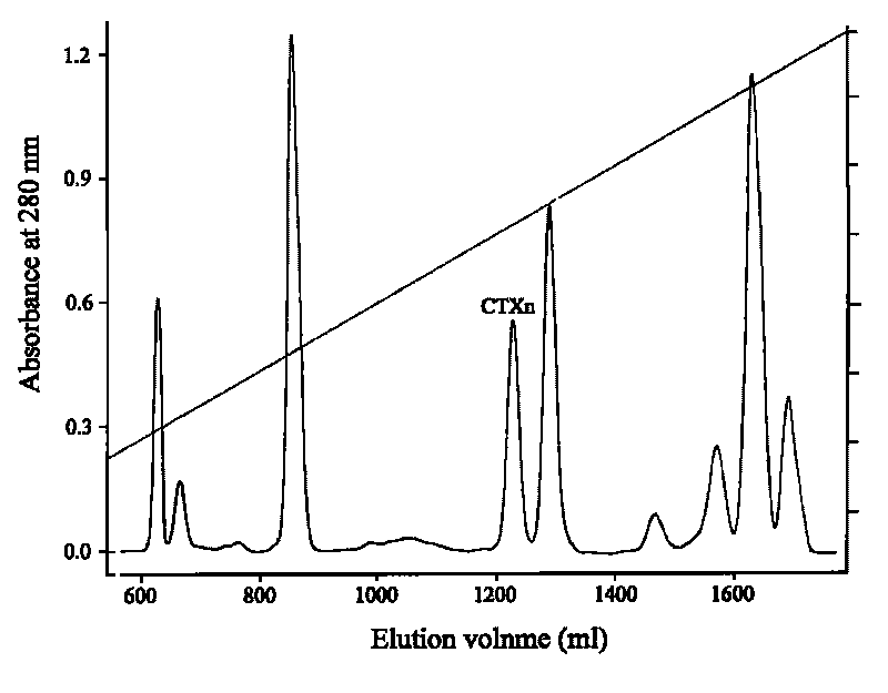 Venin-derived cytotoxin CTXn for drug rehabilitation and purification method and application thereof