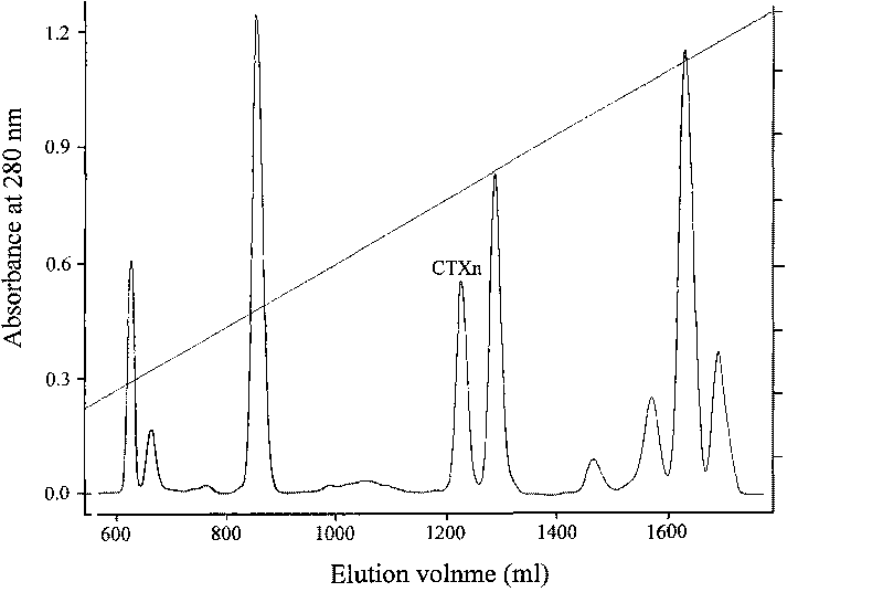 Venin-derived cytotoxin CTXn for drug rehabilitation and purification method and application thereof