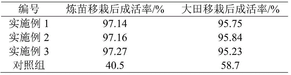 Hardening-seedling and temporary planting method for Tainong No.16 pineapple tissue culture seedling