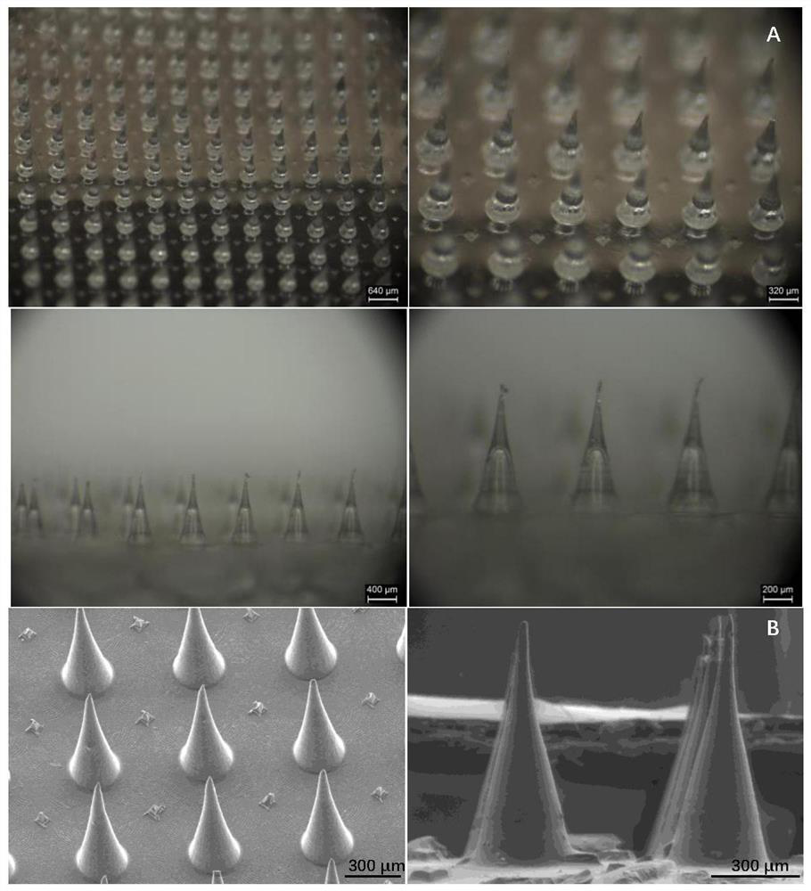 Preparation method of transdermal drug delivery microneedle preparation of modafinil