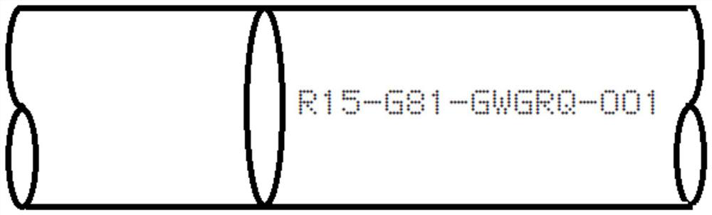 Radiographic detection recording, coding and tracing system and working method thereof