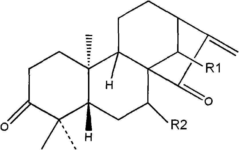 Glaucocalyxin B, derivative, preparation method and application thereof