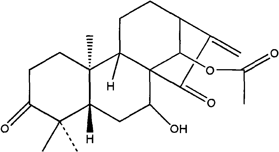 Glaucocalyxin B, derivative, preparation method and application thereof