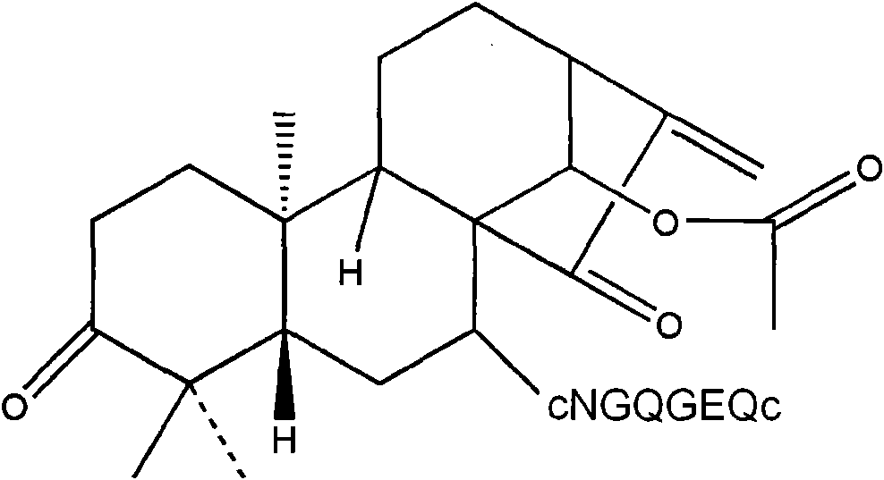 Glaucocalyxin B, derivative, preparation method and application thereof