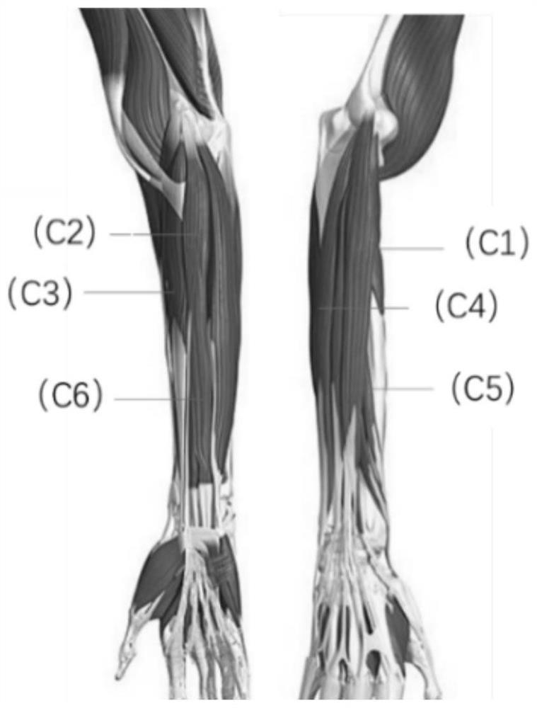 sEMG-based hand rehabilitation robot control method