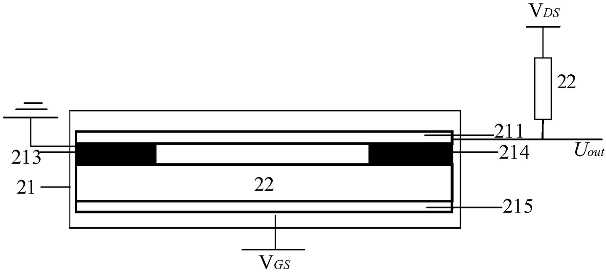 Hydrogen sulfide detection device and method