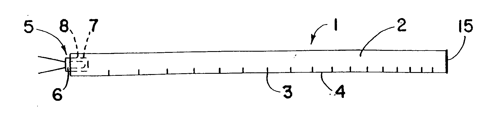 Transparent light emitting members and method of manufacture