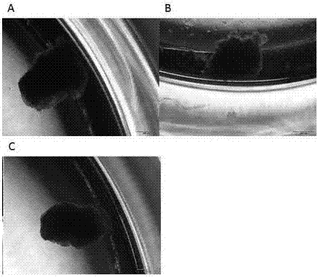 Tumor tissue 3D culture method and culture solution