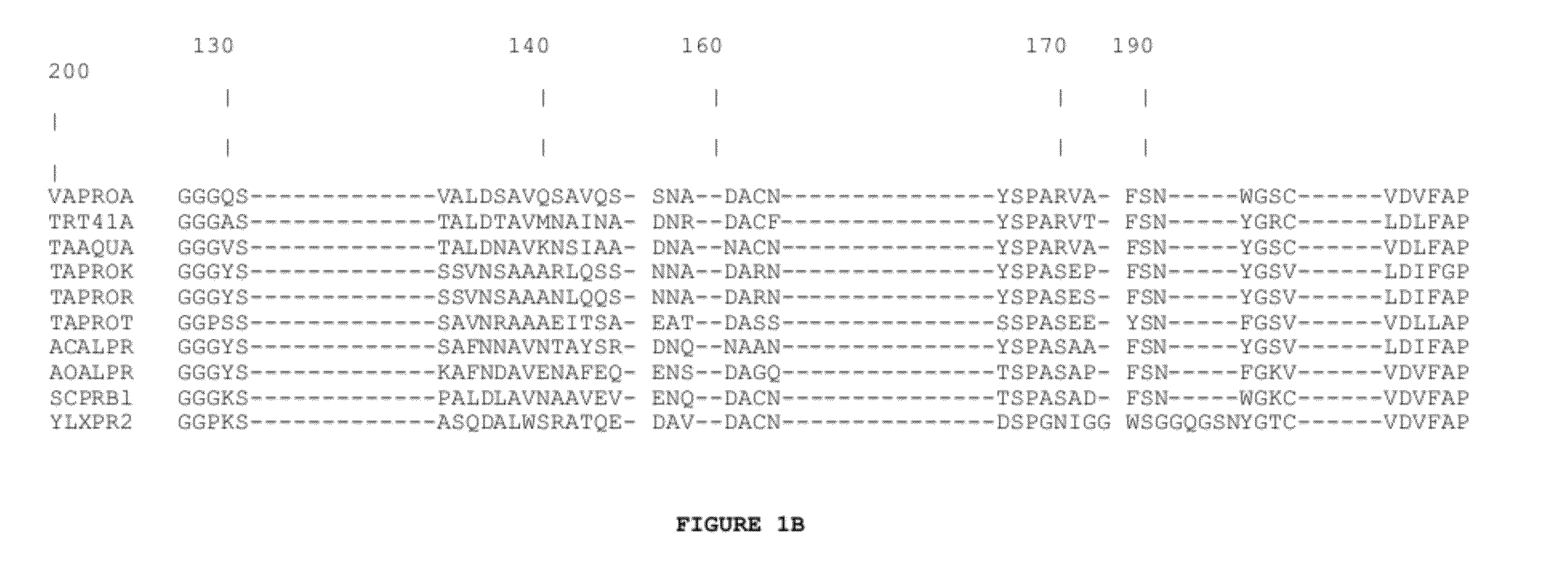 Subtilase Variants