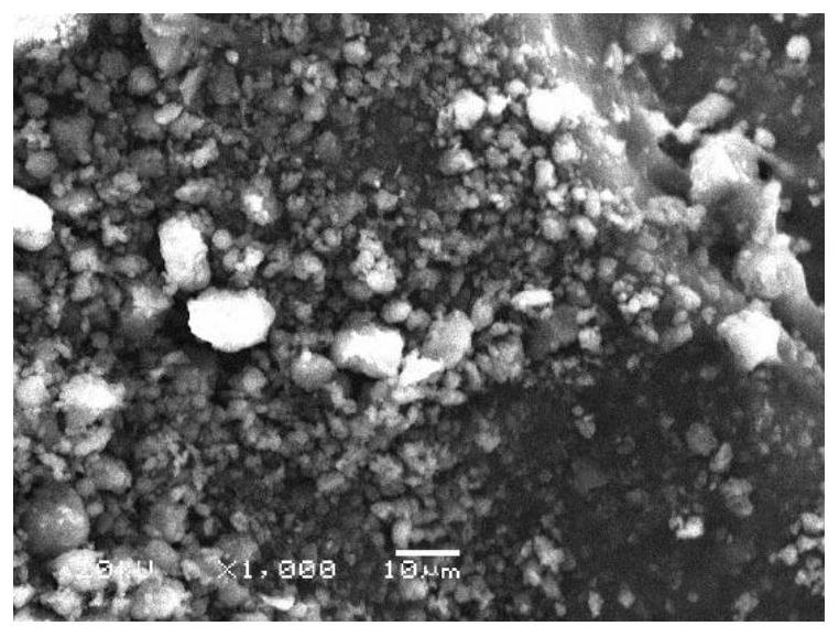 Method for preparing foamed graphene from antibiotic mushroom dregs