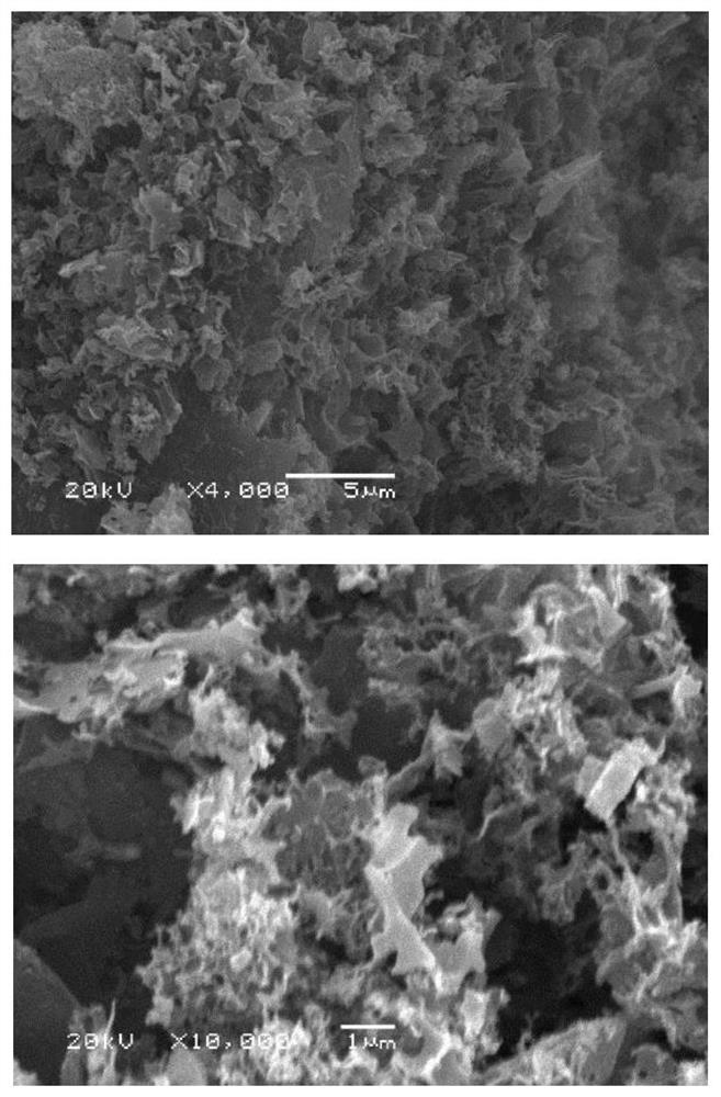 Method for preparing foamed graphene from antibiotic mushroom dregs