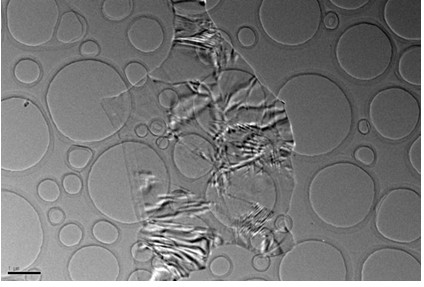 Preparation method of silver nanoparticle/graphene composite material