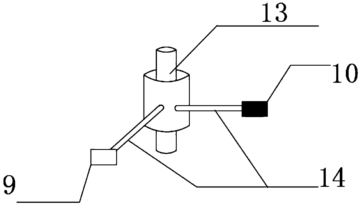 Bidirectional fish-passing ship lock and operation method thereof