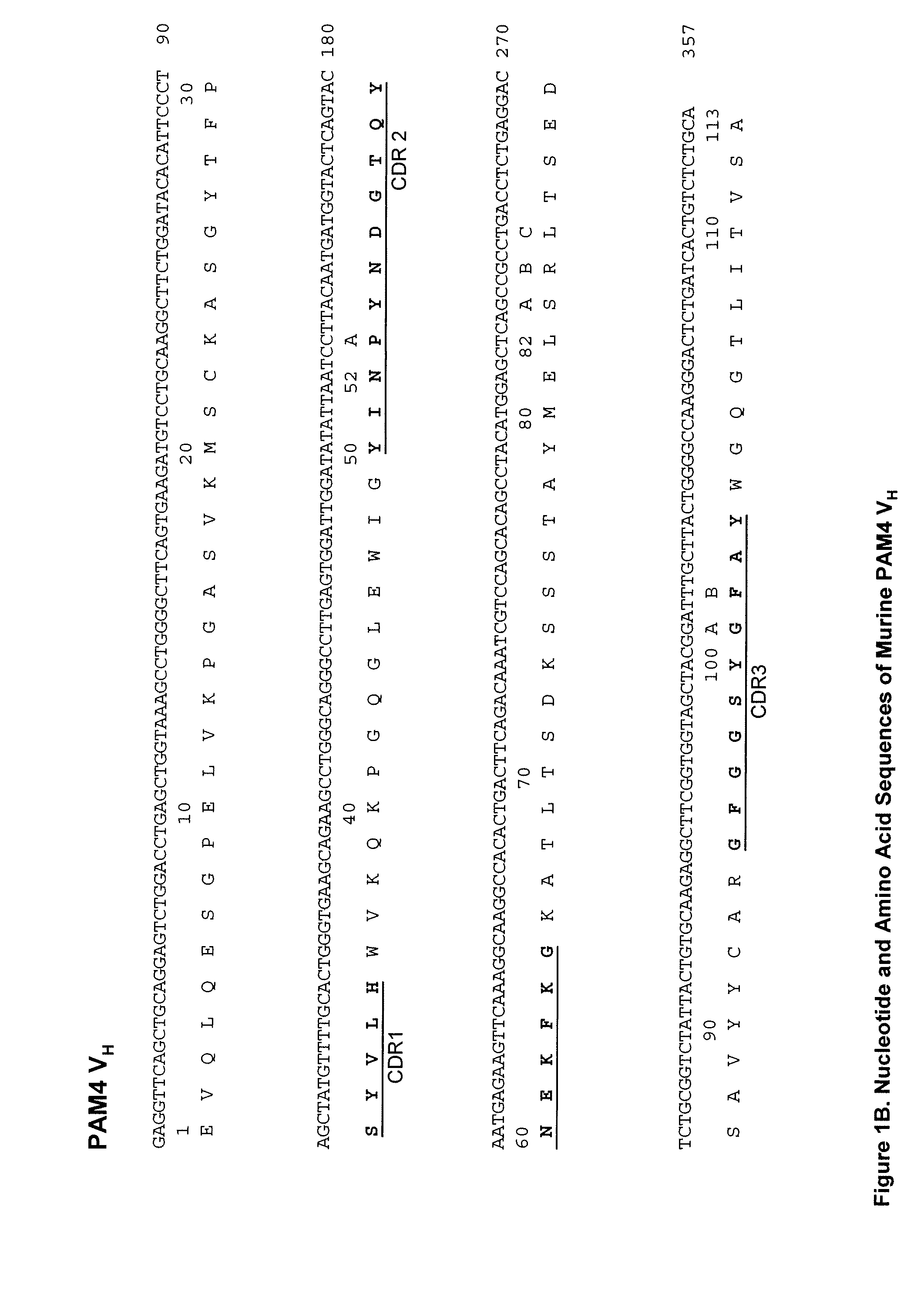 Anti-Pancreatic Cancer Antibodies