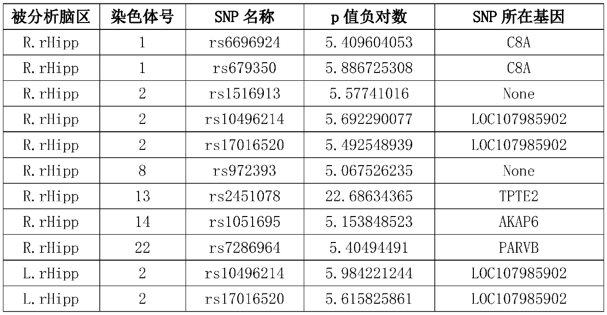 Alzheimer's disease genetic biomarker determination method and system