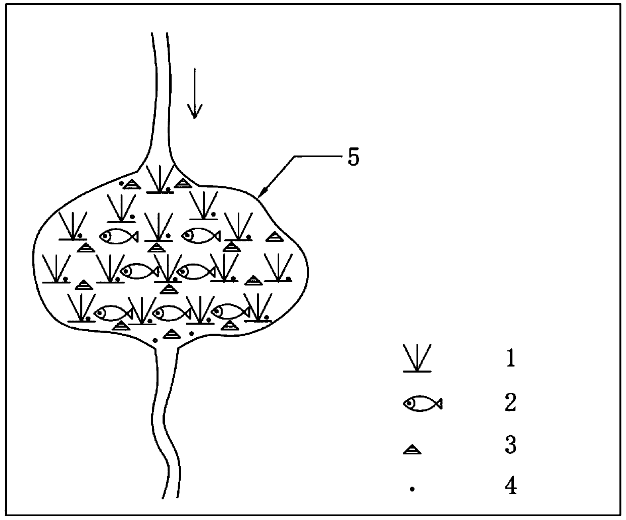 Method for constructing ecological regulation and storage lake for urban rivers