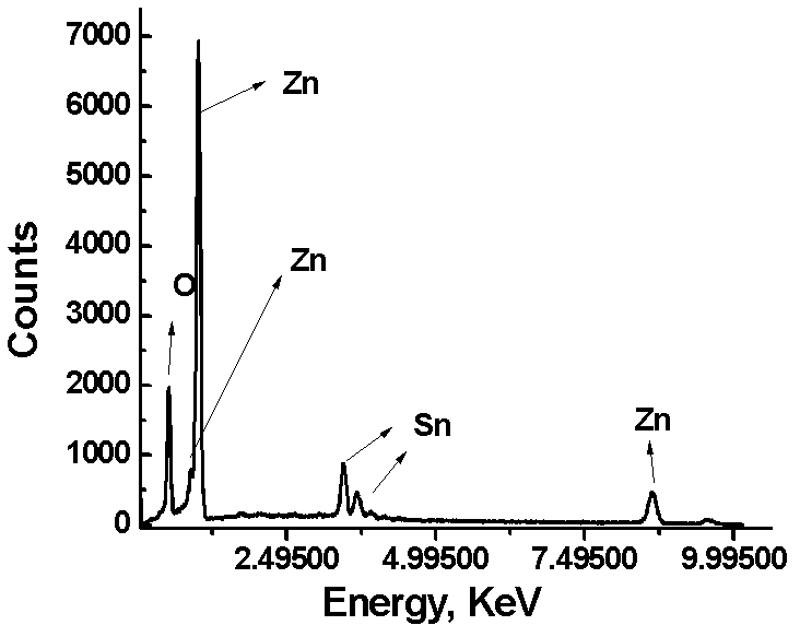 Method for preparing nano-branched titanium dioxide photoanode of dye sensitized solar cell