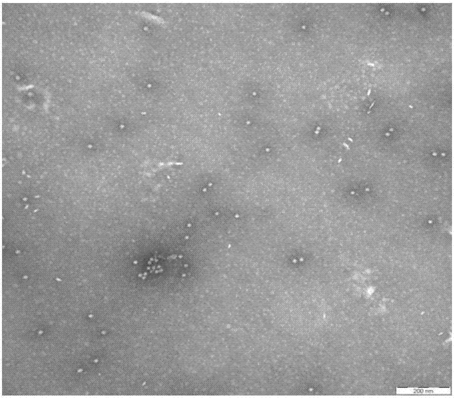 Monoclonal antibody and kit for detecting porcine circovirus type 2 cap protein