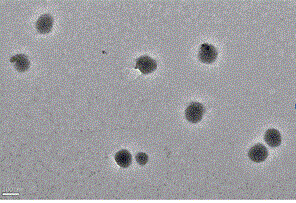 Amphiphilic block polymer having folate-targeted pH-reduction dual-response and antineoplastic activity and preparation as well as application thereof