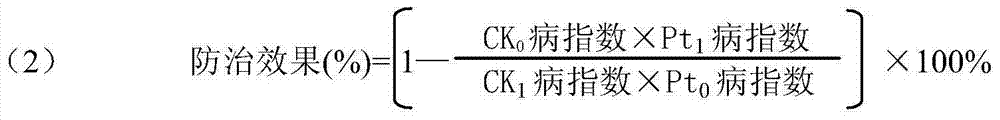 Rice blast prevention and control insecticide