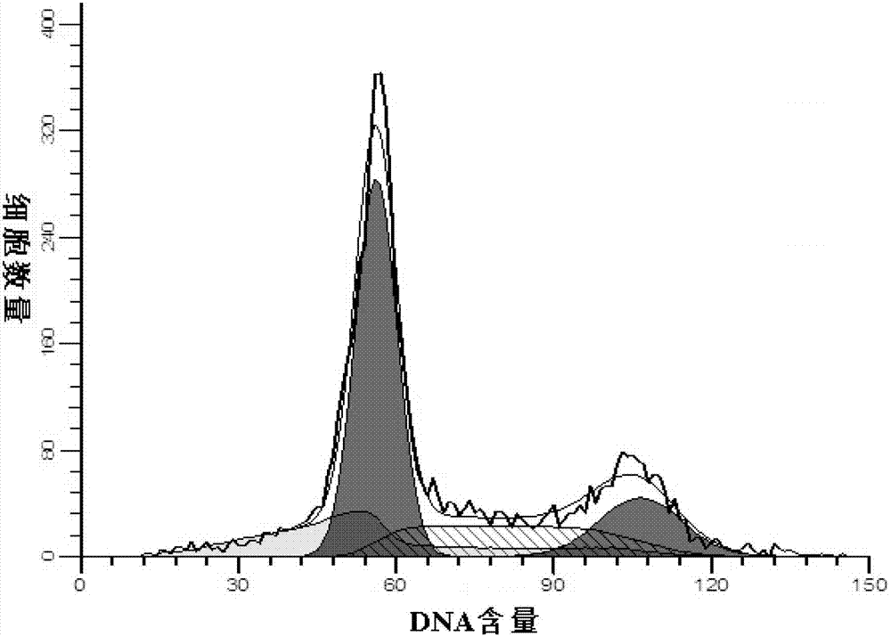 Human ovarian cancer multidrug resistant cell line