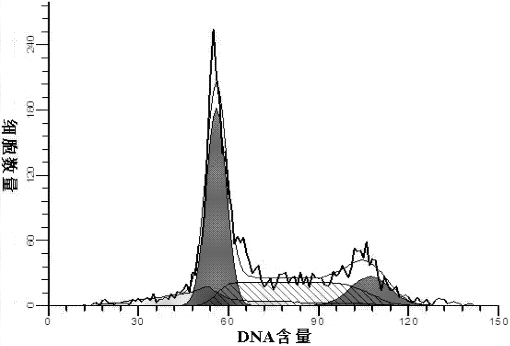 Human ovarian cancer multidrug resistant cell line