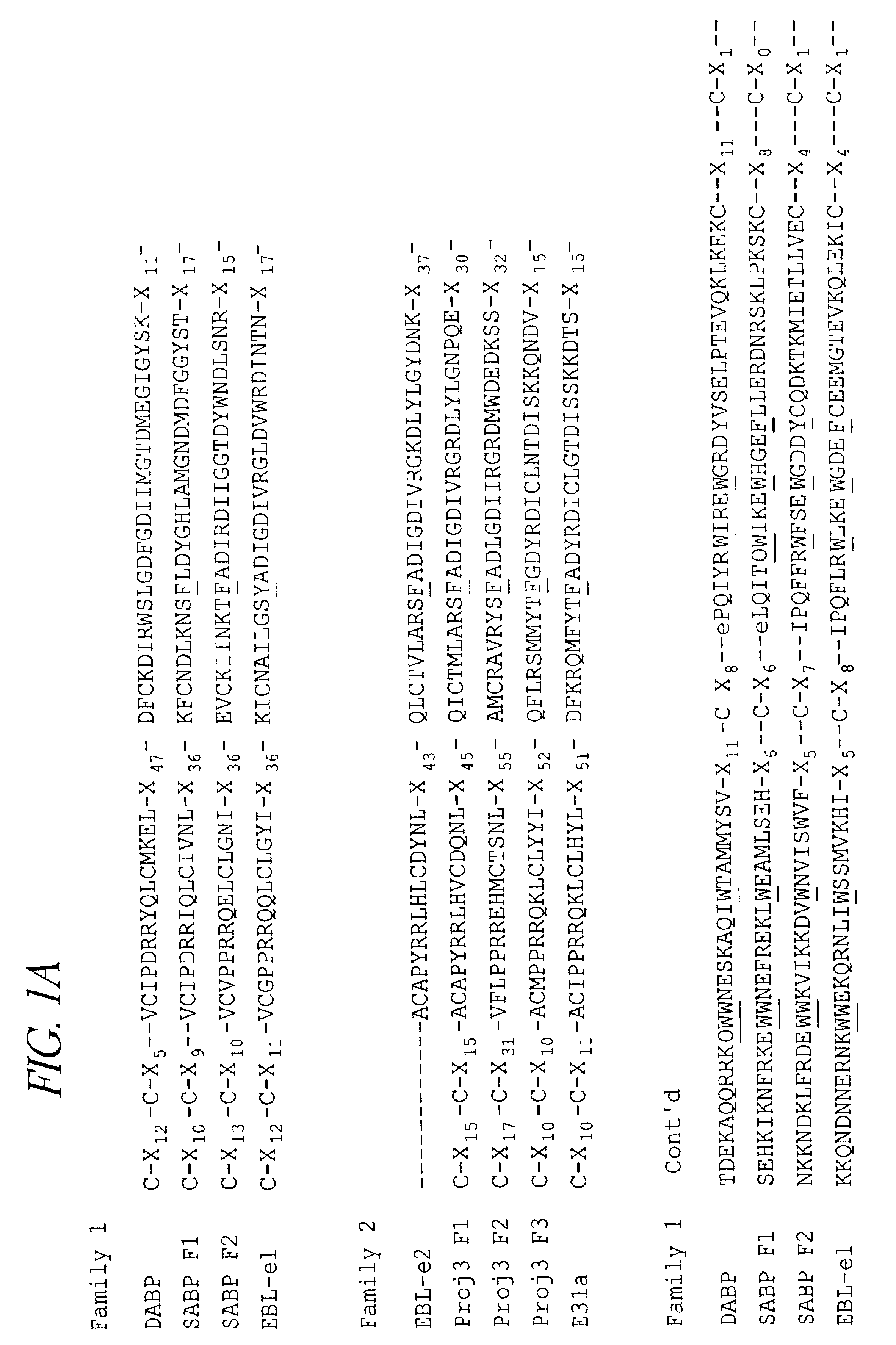 Binding domains from Plasmodium vivax and Plasmodium falciparum erythrocyte binding proteins