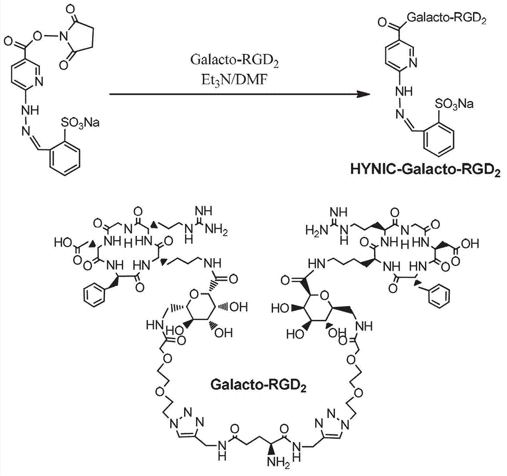 99mTc labeling galactosed arginyl-glycyl-aspartic acid (RGD) tumor diagnosis medicine and preparation method