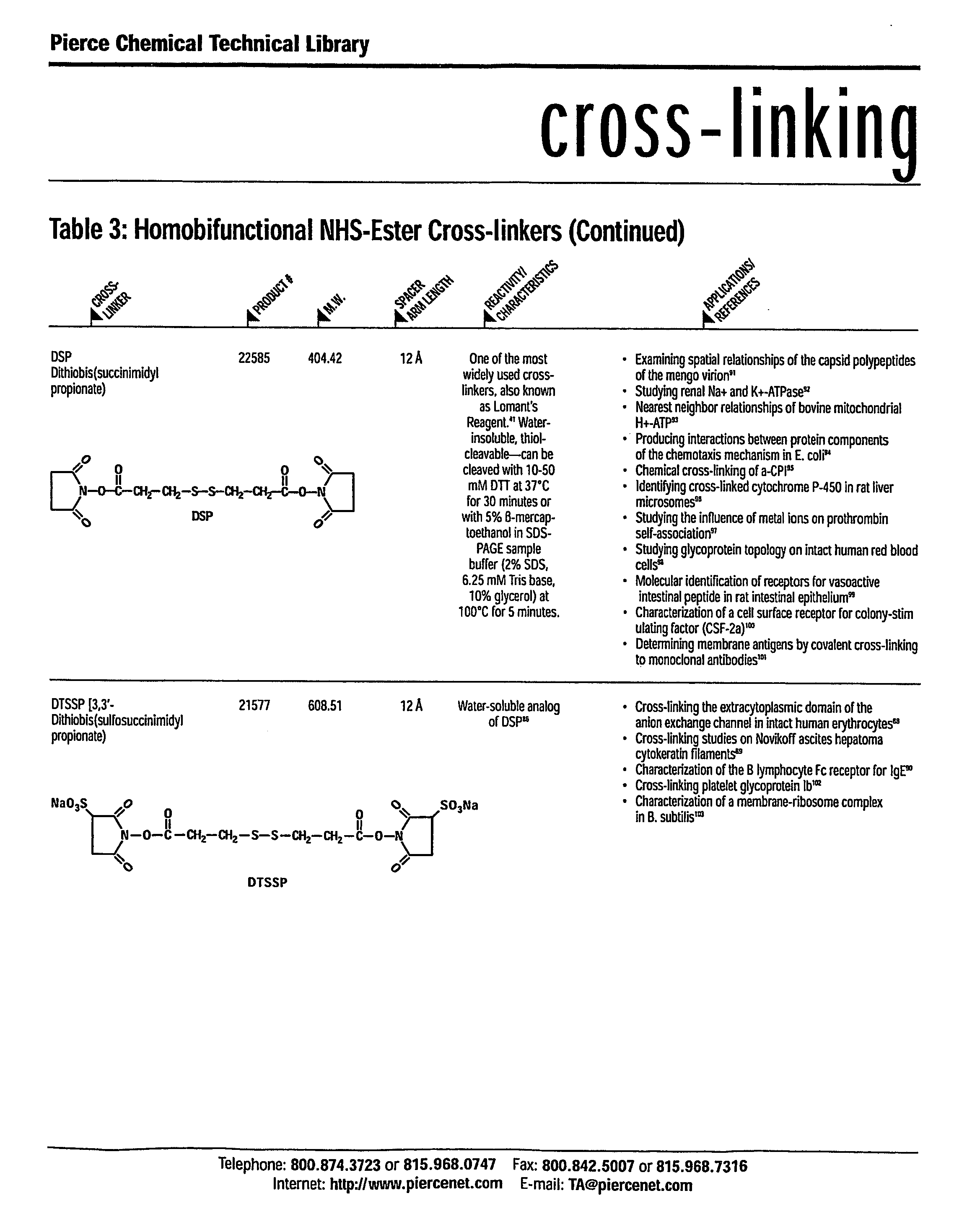 Oxime conjugates and methods for their formation and use