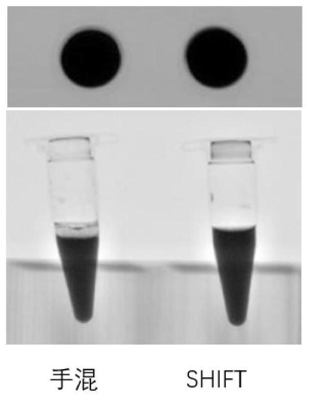 Preparation method and application of injectable gelatin-iodized oil homogeneous preparation for vascular embolism