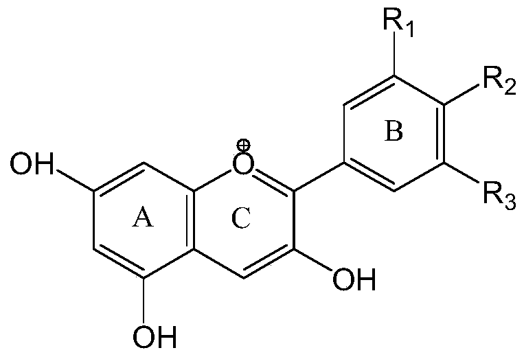 Preparation method of highly stable cellulose-based natural edible anthocyanin pigment complex