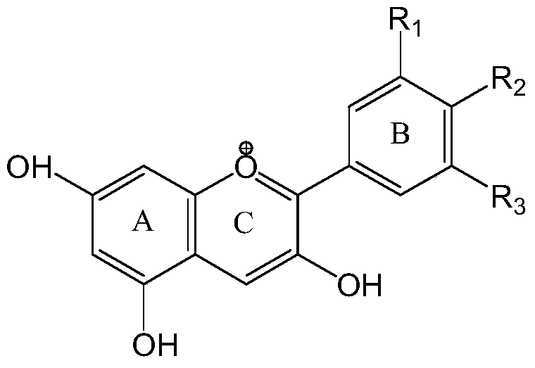 Preparation method of highly stable cellulose-based natural edible anthocyanin pigment complex