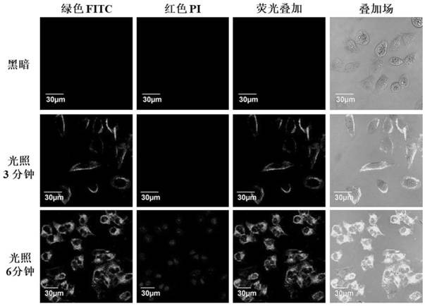 A kind of dicyanoiridium complex and its preparation method and application