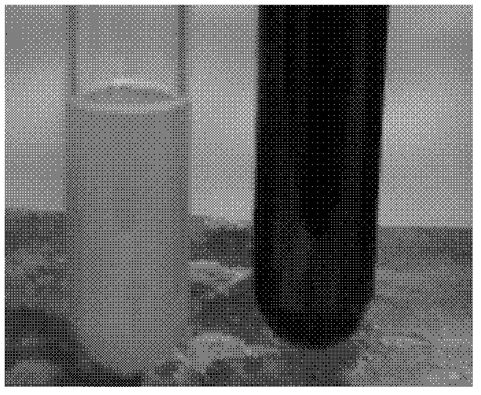 Electrocatalysis oxidation pulping method for purified cotton and production system equipment